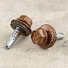 Саморіз RAL 0001 4,8х19 (колір - золотий дуб) для металу (покрівля/фасад) з шестигранною головкою та шайбою EPDM, фото 3