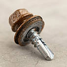 Саморіз RAL 0001 4,8х19 (колір - золотий дуб) для металу (покрівля/фасад) з шестигранною головкою та шайбою EPDM, фото 4