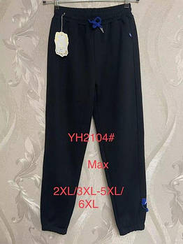 BLACK CYCLONE 2104 штани бавовна на байці (2XL-6XL)