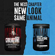 UNIVERSAL NUTRITION - Creatine Micronized - 300g креатин моногідрат