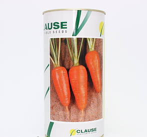 Насіння моркви Болтекс (Clause), 0,5 кг — середньопізня сортова (110-120 днів), тип Шантане, фото 2