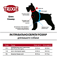 Шлея-петля Trixie Premium для собак, розмір M, оливкова, 50-65 см/20 мм (нейлон), фото 4