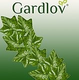 Штучний плющ - гірлянда, лоза Gardlov 19737 (50,4 м), фото 4