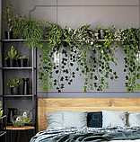 Штучний плющ - гірлянда, лоза Gardlov 19737 (50,4 м), фото 6