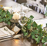 Штучний плющ - гірлянда, лоза Gardlov 19737 (50,4 м), фото 9