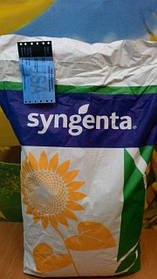 Насіння соняшника (Сінгента) НК Неома 2019г. Круїзер