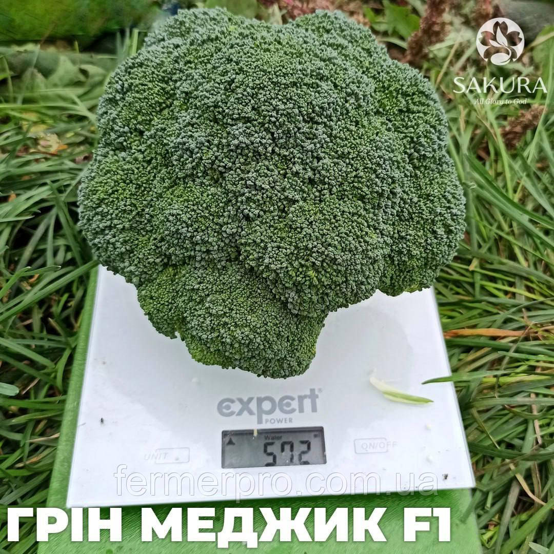 Насіння капусти броколі Грін меджик F1/Green Magic F1 1000 насіння Sakata