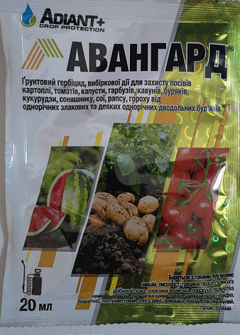 Авангард 20 мл., фото 1