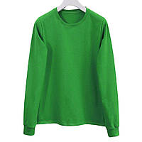 Чоловічий лонгслів зелений