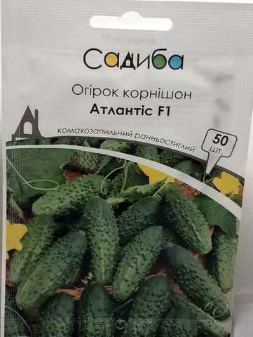 Огірок Атлантіс F1, 50 шт., Садиба
