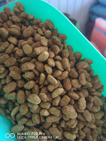 Муся РИБА для котів (мішок 10кг), фото 2