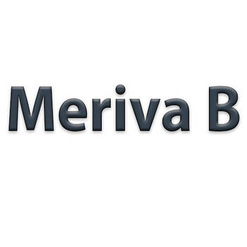 Meriva B