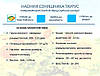 Насіння соняшника гібрид НС Таурус  (фракція екстра плюс) (2024 рік), ТМ "Юг Агролідер", Сербія, фото 4