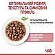 Акція! Вологий корм Royal Canin Kitten Instinctive для кошенят, в соусі, 85 гр 8 шт. + 4 шт. у подарунок!, фото 4