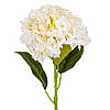 Гортензія "Анабель", кремова, 57 см ELISEY, фото 2