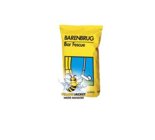 Газонна трава Bar Fescue Barenbrug - 15 кг