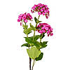 Гортензія "Магніт", рожева, 70 см ELISEY, фото 2