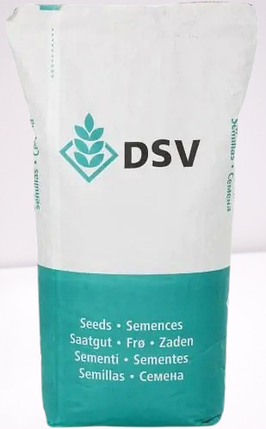 Озимий ріпак Фінікс КЛ DSV, насіння озимого ріпаку під євро лайтинг ДСВ, фото 3