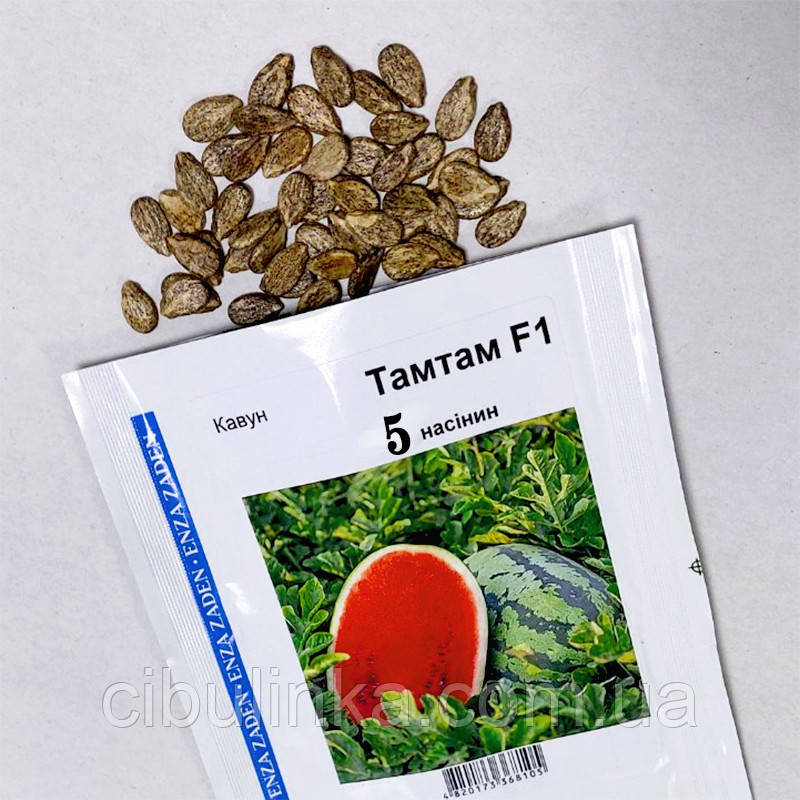 Кавун ТамТам F1 Enza Zaden/Нідерланди 5 шт (zip-paket), фото 1