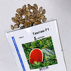 Кавун ТамТам F1 Enza Zaden/Нідерланди 5 шт (zip-paket)