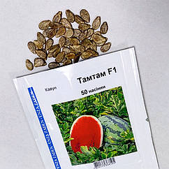 Арбуз ТамТам F1 Enza Zaden Нідерланди 50 шт