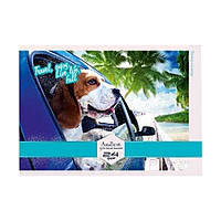 Альбом для малювання АМ-ГП-120-24 на спіралі Подорож Toys Shop