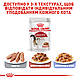 Акція! Вологий корм Royal Canin Instinctive (Роял Канін Інтенсив) для котів (у соусі), 85 гр 3+1 шт, фото 8