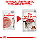 Акція! Вологий корм Royal Canin Instinctive (Роял Канін Інтенсив) для котів (у соусі), 85 гр 3+1 шт, фото 9