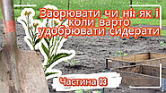 Заорювати чи ні: як і коли варто удобрювати сидератами