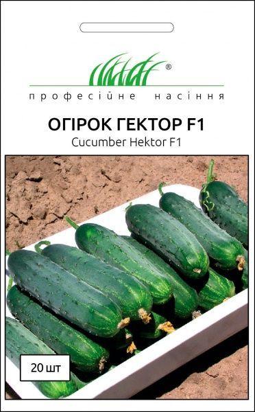 Огірок кущовий Гектор F1 20 шт Професійне насіння Нидерланды