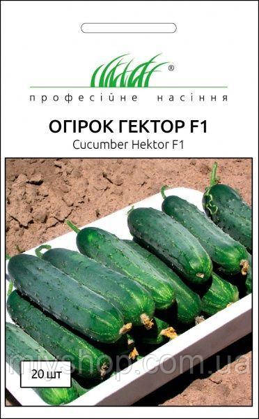 Огірок кущовий Гектор F1 20 шт Професійне насіння Нидерланды