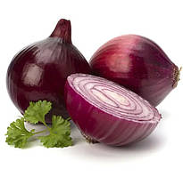 Цибуля сіянка Ред Рок F1  200шт Професійне насіння