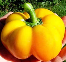 Перець солодкий Золотий ювілейний 0,3 гр Смачний