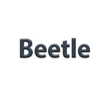Beetle