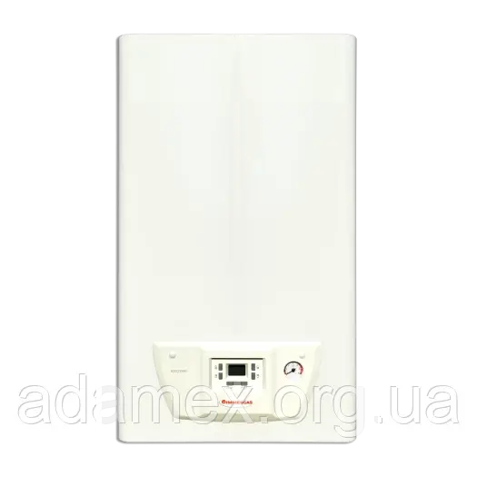 Котел газовий IMMERGAS MINI NIKE 24 3Е димохідний