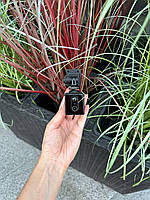 IP Мини-камера видеонаблюдения 4G аккумуляторная скрытая камера, с передачей на телефон