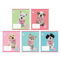 Зошит шкільний Kite 12 аркушів лінія Studio Pets