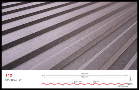 Профнастил Т-12 0,45 мм RAL 8017, фото 2