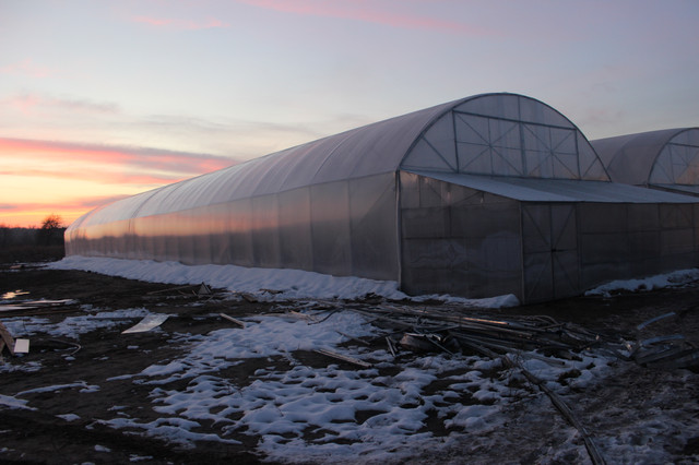 арочные теплицы "Фермер Профи"