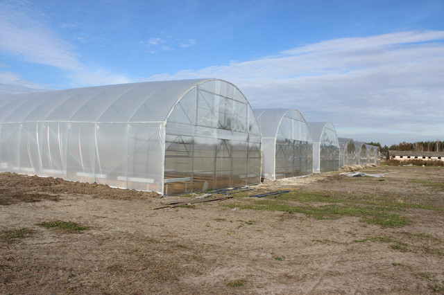 фермерские теплицы нового поколения