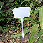 Діелектричні кілочки для маркування (пак. 10 шт). Білий, фото 3