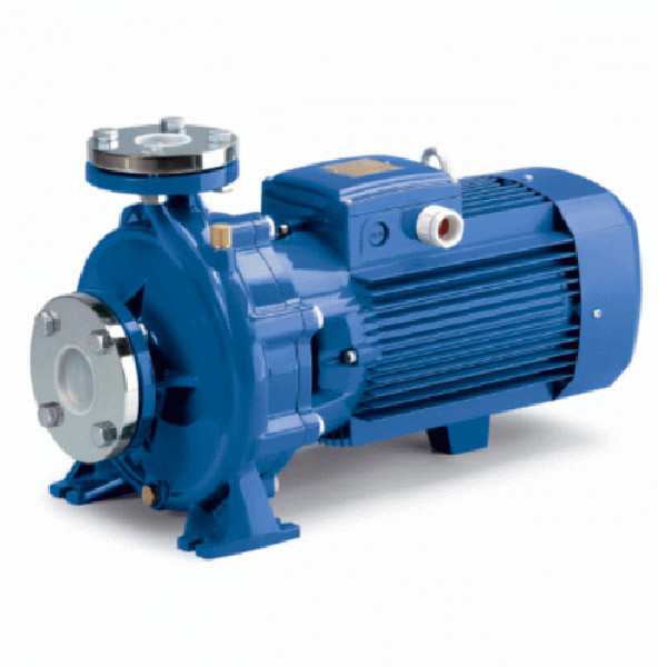 Насос Pedrollo F 50-160A-I, фото 1