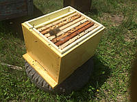 Корпус Дадан из ППУ. Знижки до кінця вересня.