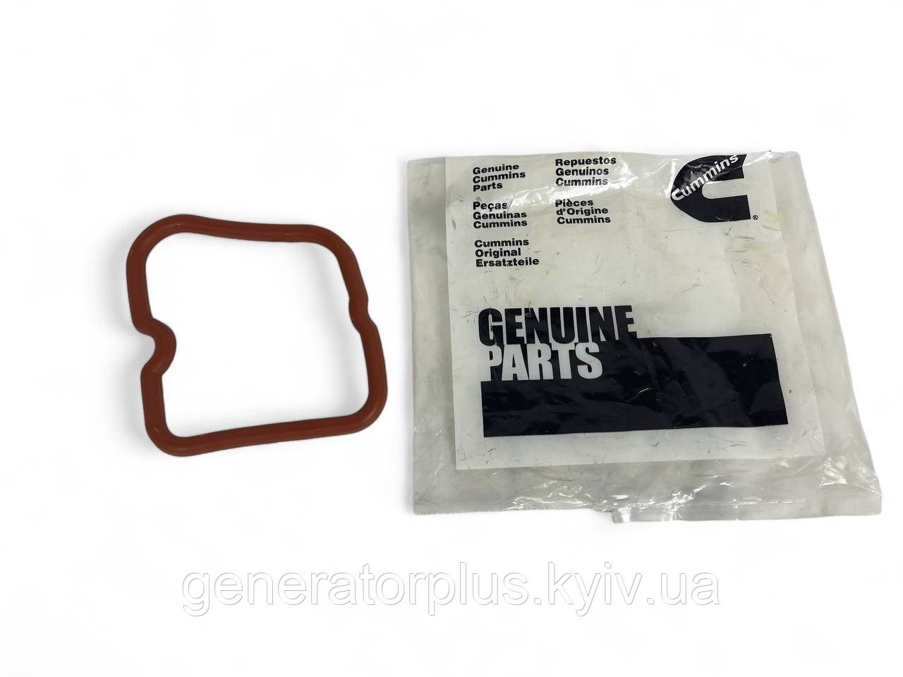 Прокладка клапанної кришки Cummins 4bt/6bt оригінал 3930906, фото 1