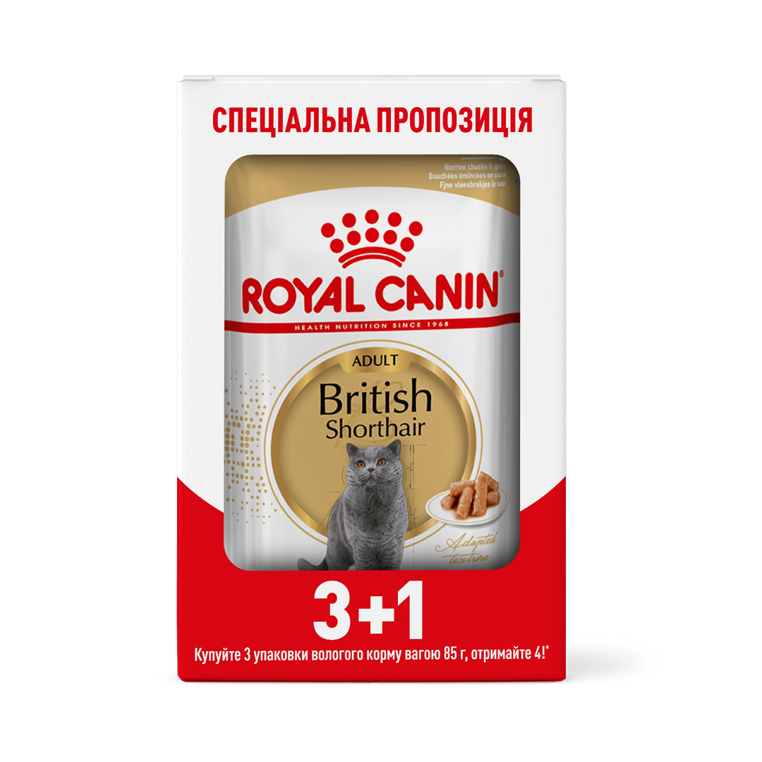 Акція! Royal Canin British Shorthair (Роял Канін Брітіш Шортхеа) вологий корм для британських кішок 85гр 3+1 шт