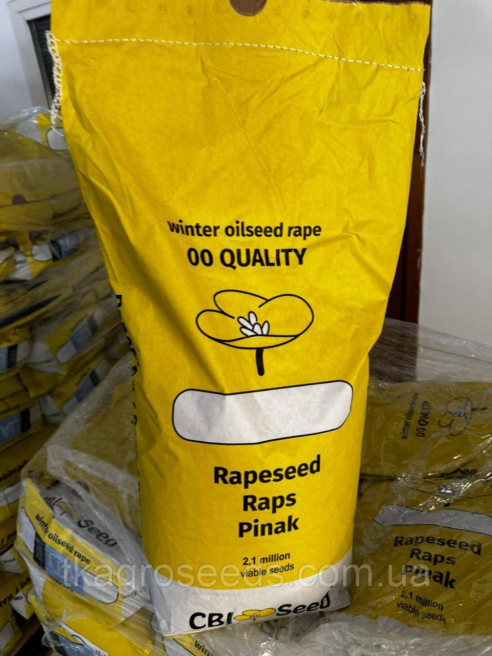 Насіння ріпаку озимого гібрид БАХУС (Classic) Viterra Seed