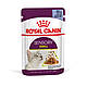 Акція! Вологий корм Royal Canin Sensory Smell для котів стимуляція нюхових рецепторів, в желе 85гр 9+3 ШТ, фото 2