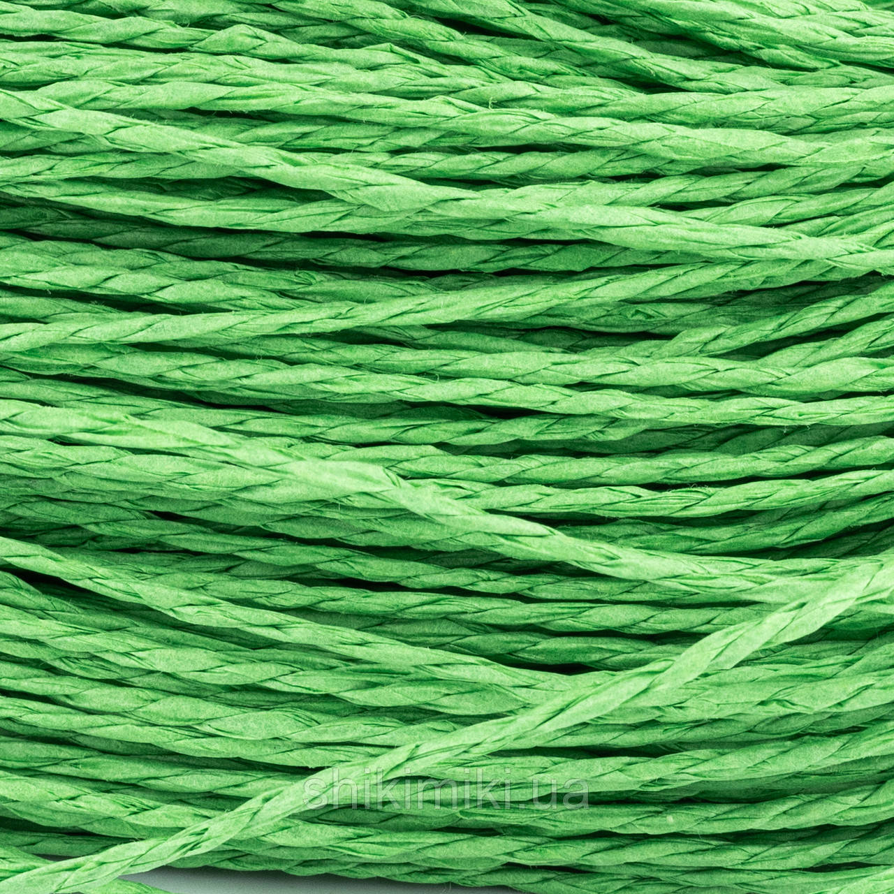 Пряжа Raffia кручена, колір Зелене яблуко, фото 1