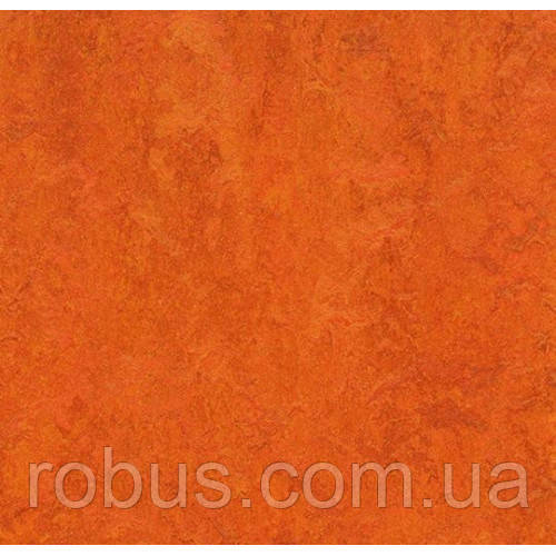 Натуральний лінолеум Marmoleum Fresco 3126 (2,5 мм)