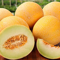 Віддушка для мила "Диня медова" 10г